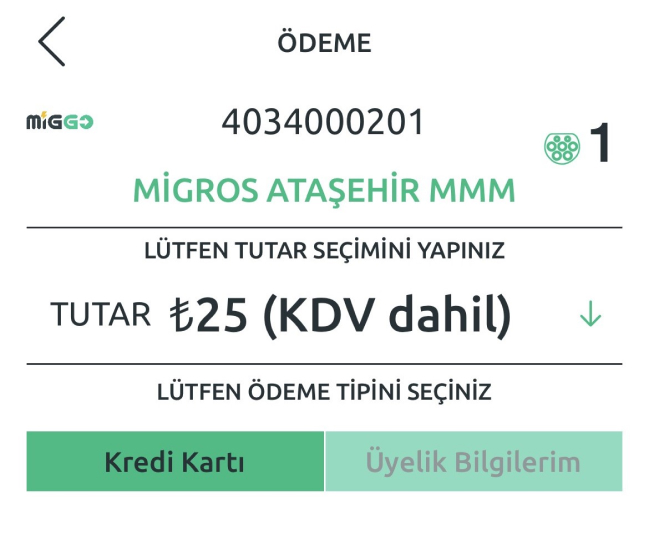 We started  make electric vehicle